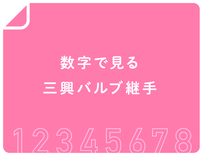 数字で見る三興バルブ継手